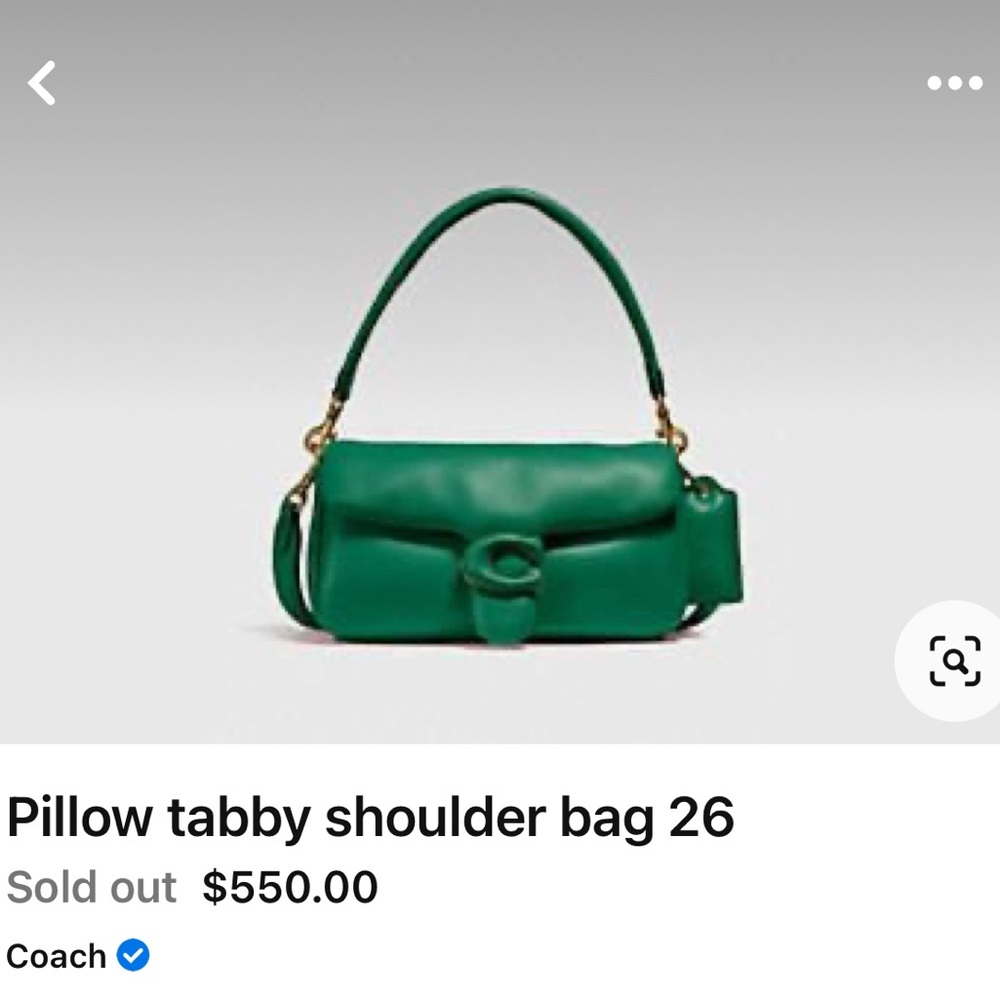 Pillow Tabby 26